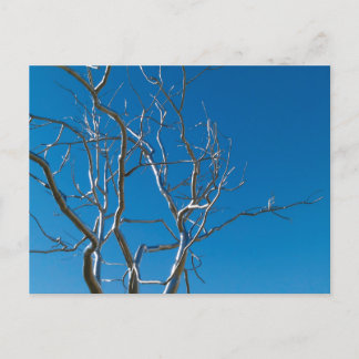 Cartão Postal Escultura do Museu de Arte de santo Louis