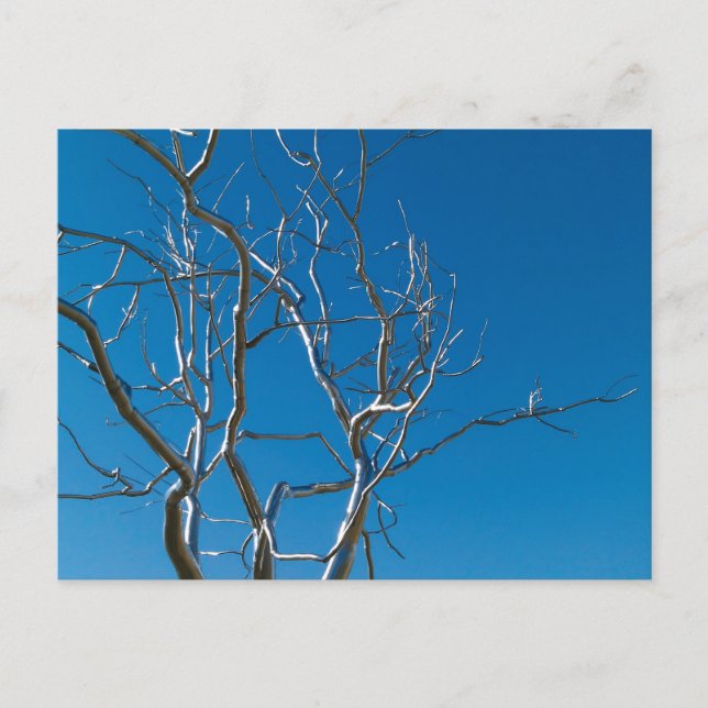 Cartão Postal Escultura do Museu de Arte de santo Louis (Frente)