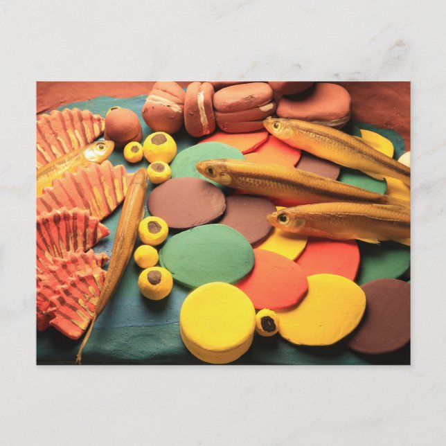 Cartão Postal Escultura em argila de peixes, pintada sutilmente (Frente)