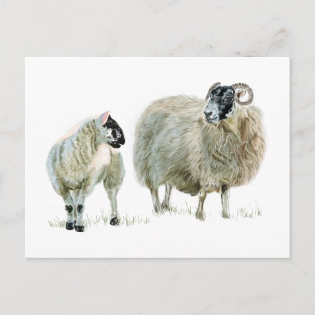 Cartão Postal Escute sempre a sua Maaa! (Frente)