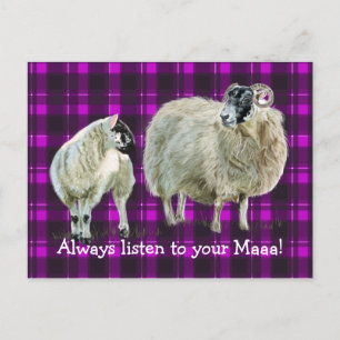 Cartão Postal Escute sempre a sua Maaa!