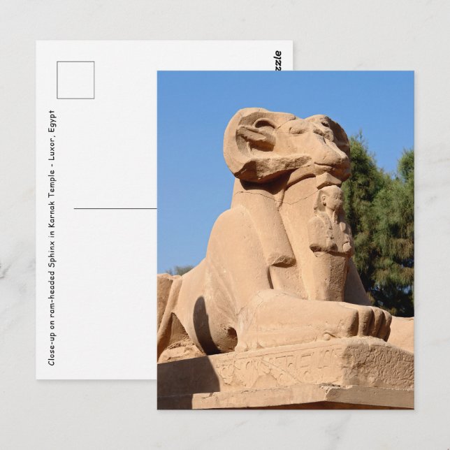 Cartão Postal Esfinge com cabeça de carneiro no Templo de Karnak (Frente/Verso)