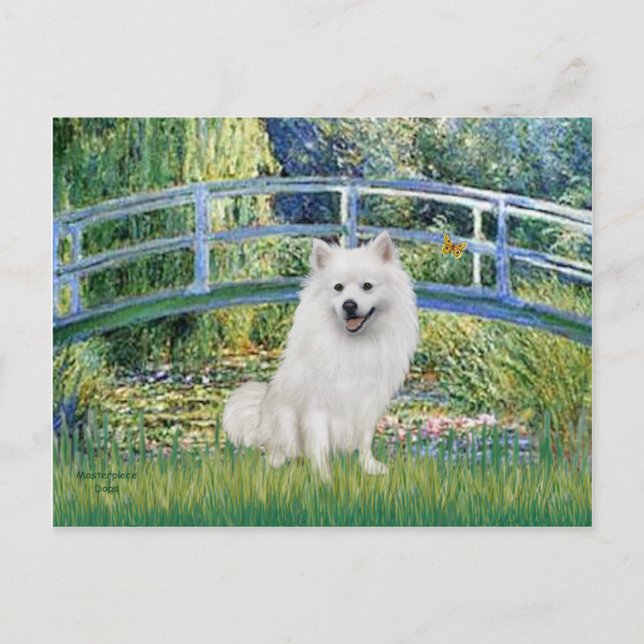 Cartão Postal Eskimo Spitz 1 - Ponte (Frente)