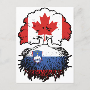 Cartão Postal Eslovênia canadiano Canadá Bandeira de Raízes de Á
