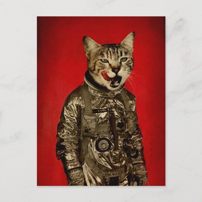 Cartão Postal espaço tem bom gosto (Frente)