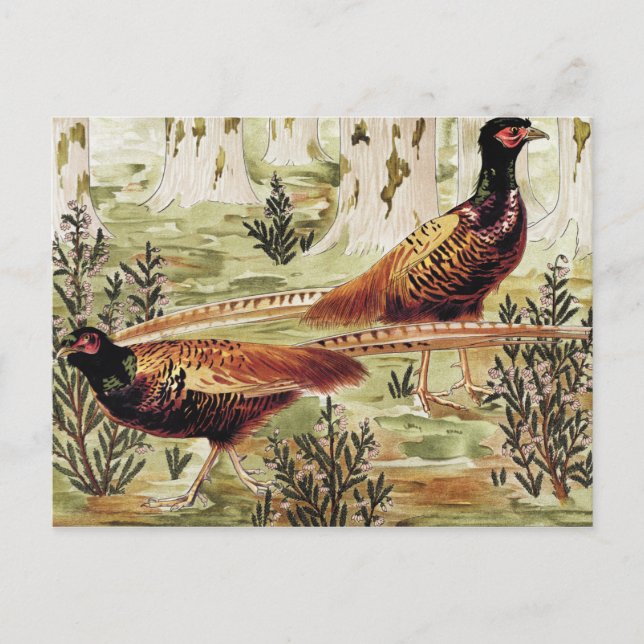 Cartão Postal Especiários fastistas de Maurice Pillard Verneuil (Frente)