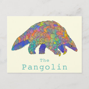 Cartão Postal Espécie Ameaçada de Pangolim Arte de Animal Colori