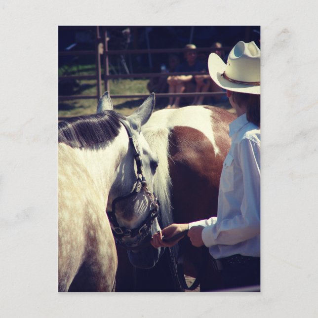 Cartão Postal Espectacularidade (Frente)