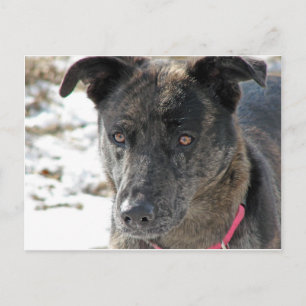 Cartão Postal Esperança