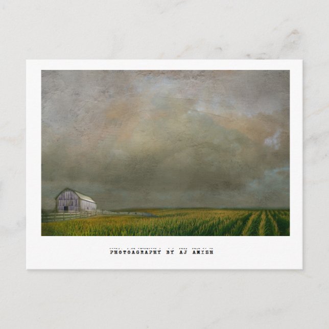 Cartão Postal esperança - (Frente)