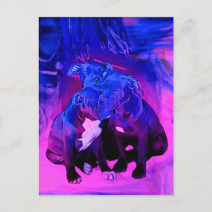 Cartão Postal Esperança da fé & caridade, cães abusados do