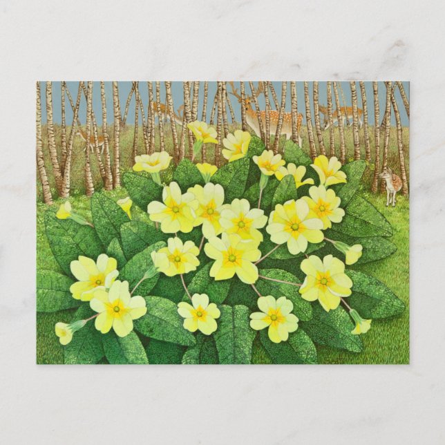 Cartão Postal Esperança de 2011 (Frente)