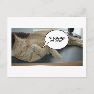 Cartão Postal Esperança e mudança/Humor de gato