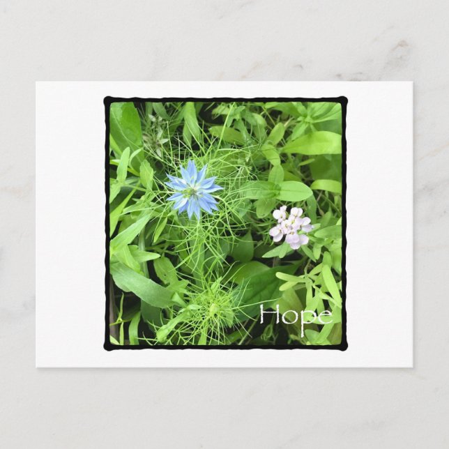 Cartão Postal Esperança Horizontal (Frente)
