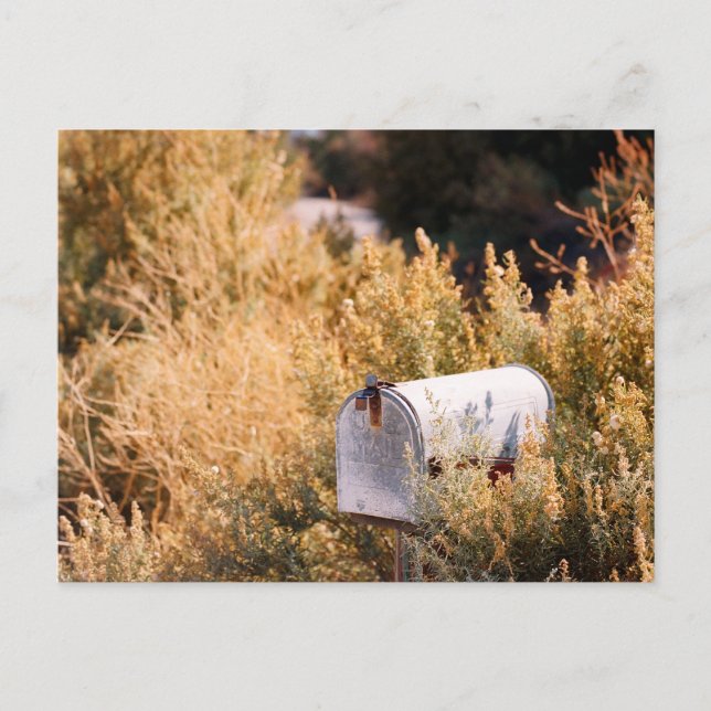 Cartão Postal Esperando pelo correio. (Frente)