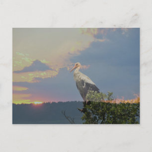 Cartão Postal Esperando pelo outono