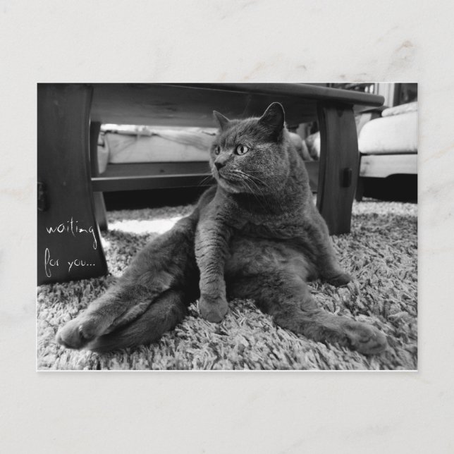 Cartão Postal Esperando por você - Cartão-postal (Frente)