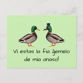 Cartão Postal Esperanto: Anaso de FIA ĝemelo de mia do la dos