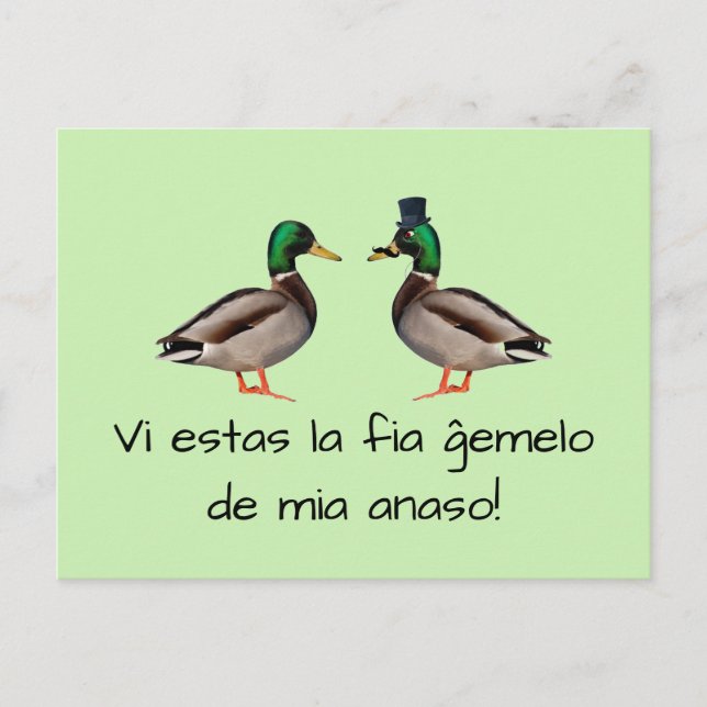 Cartão Postal Esperanto: Anaso de FIA ĝemelo de mia do la dos (Frente)