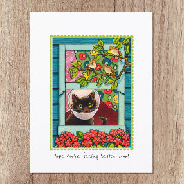 Cartão Postal "Espero que se sinta melhor logo" Gato Gato Gato