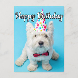 Cartão Postal Espero que você tenha um feliz aniversário