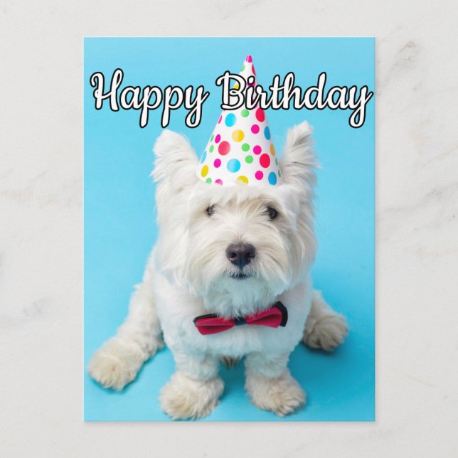 Cartão Postal Espero que você tenha um feliz aniversário (Frente)