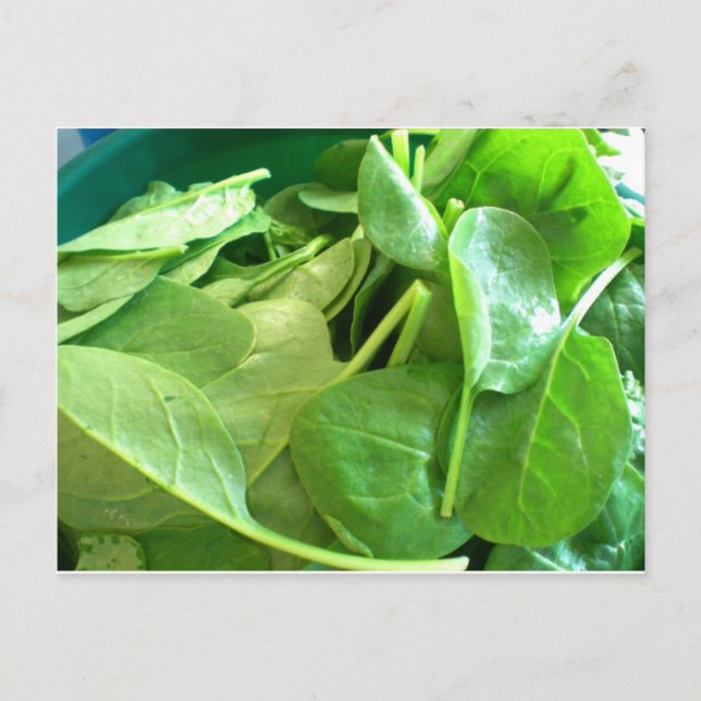 Cartão Postal Espinafre (Frente)