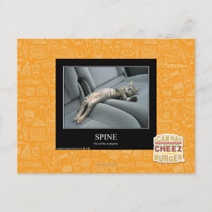 Cartão Postal Espinha