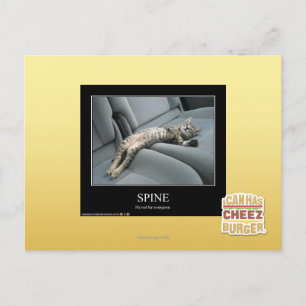 Cartão Postal Espinha