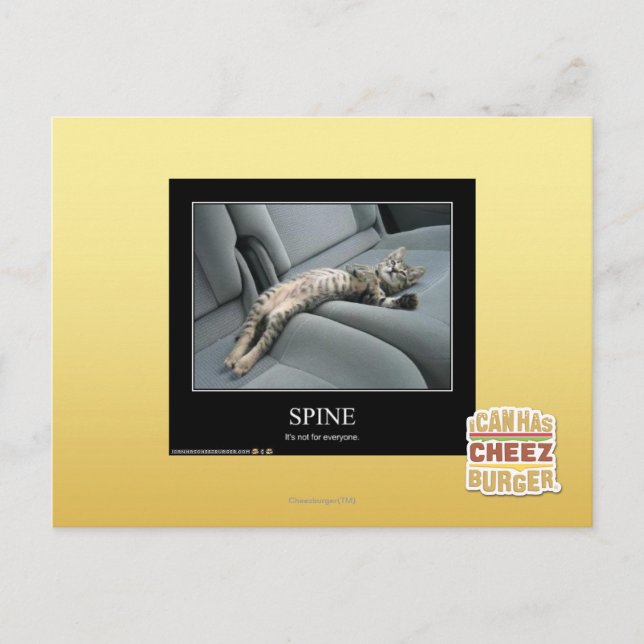 Cartão Postal Espinha (Frente)