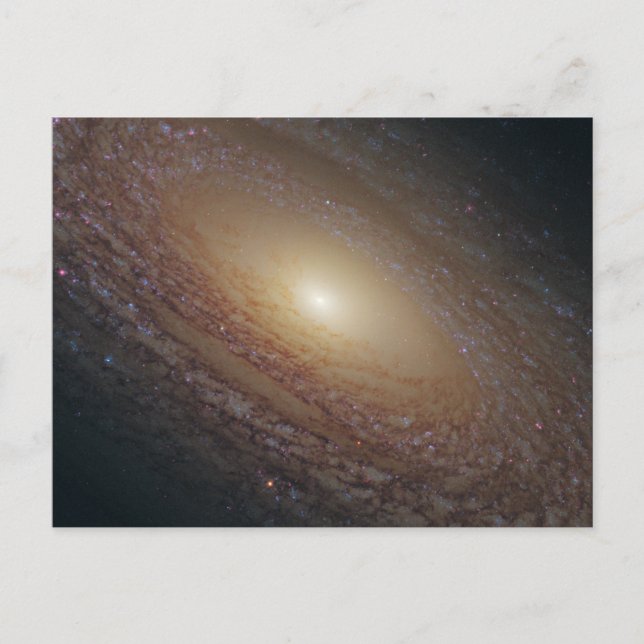 Cartão Postal Espiral floculante NGC 2841 (Frente)