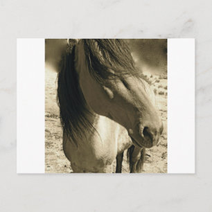 Cartão Postal Espírito