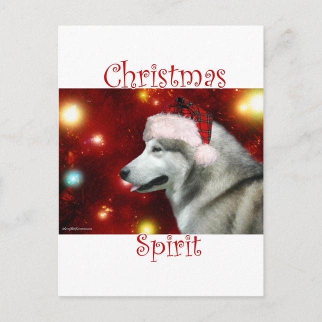 Cartão Postal Espírito de Malamute no Alasca (Frente)