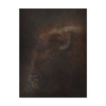 Espírito do Búfalo