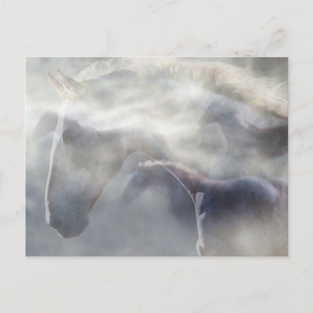Cartão Postal Espírito do Cavalo (Frente)