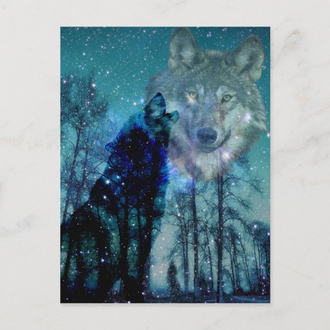 Cartão Postal Espírito Selvagem (Frente)