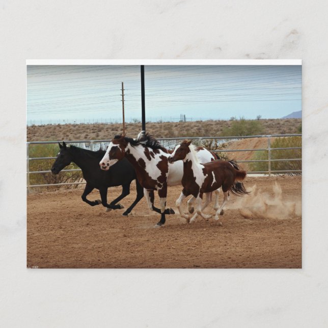 Cartão Postal Espíritos Branqueadores (Frente)