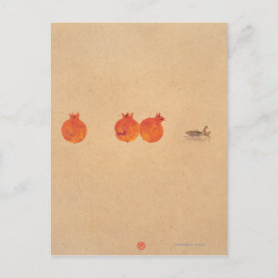 Cartão Postal Espíritos na Série Céu e Terra Nº 5
