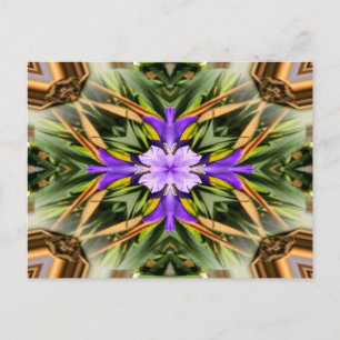 Cartão Postal Espiritual.