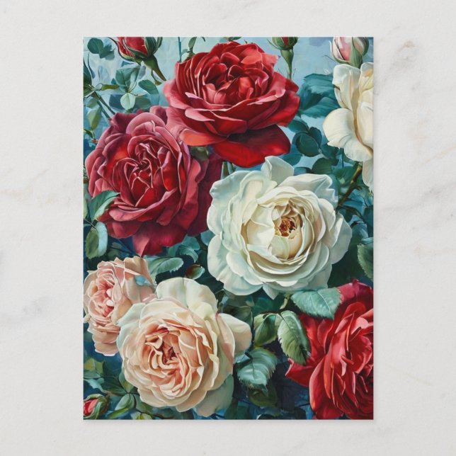 Cartão Postal Esplendor rosa. Buquê floral de rosas. (Frente)