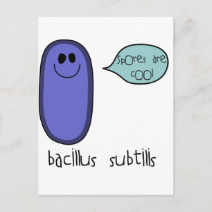 Cartão Postal Esporo