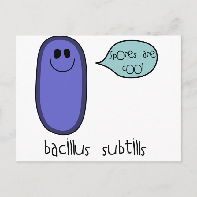 Cartão Postal Esporo (Frente)