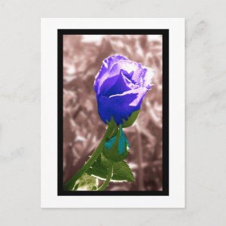 Cartão Postal Esquecimento