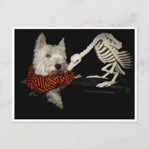 Cartão Postal Esqueleto de Abutre Westie no Halloween