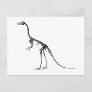 Cartão Postal esqueleto de compsognathus