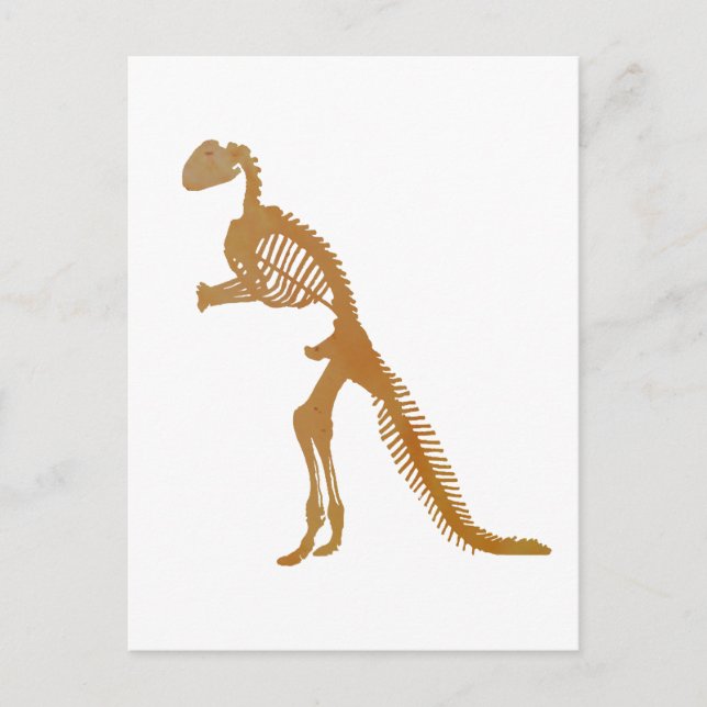 Cartão Postal esqueleto de dinossauro (Frente)