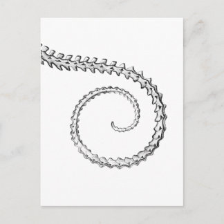 Cartão Postal Esqueleto de lagarto Vintage