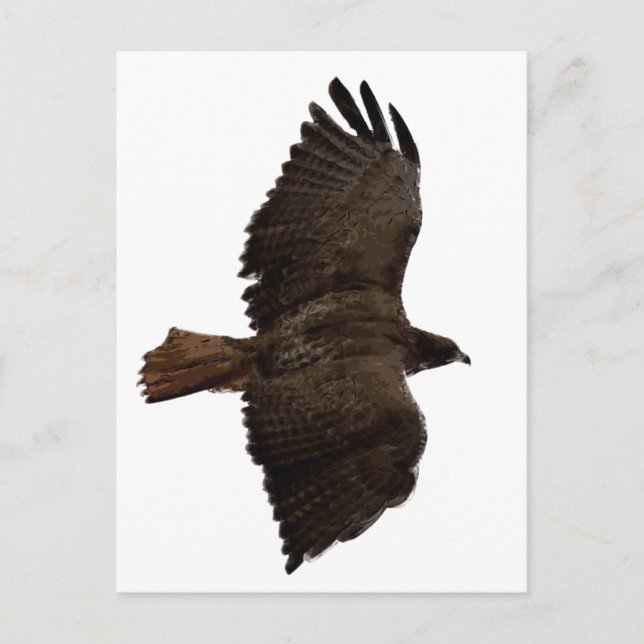 Cartão Postal Esquema de cauda vermelha (Frente)