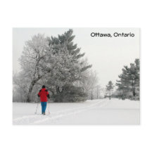 Esqui Cruzado em um Dia Congelado