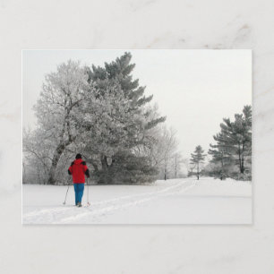 Cartão Postal Esqui Cruzado em um Dia Congelado